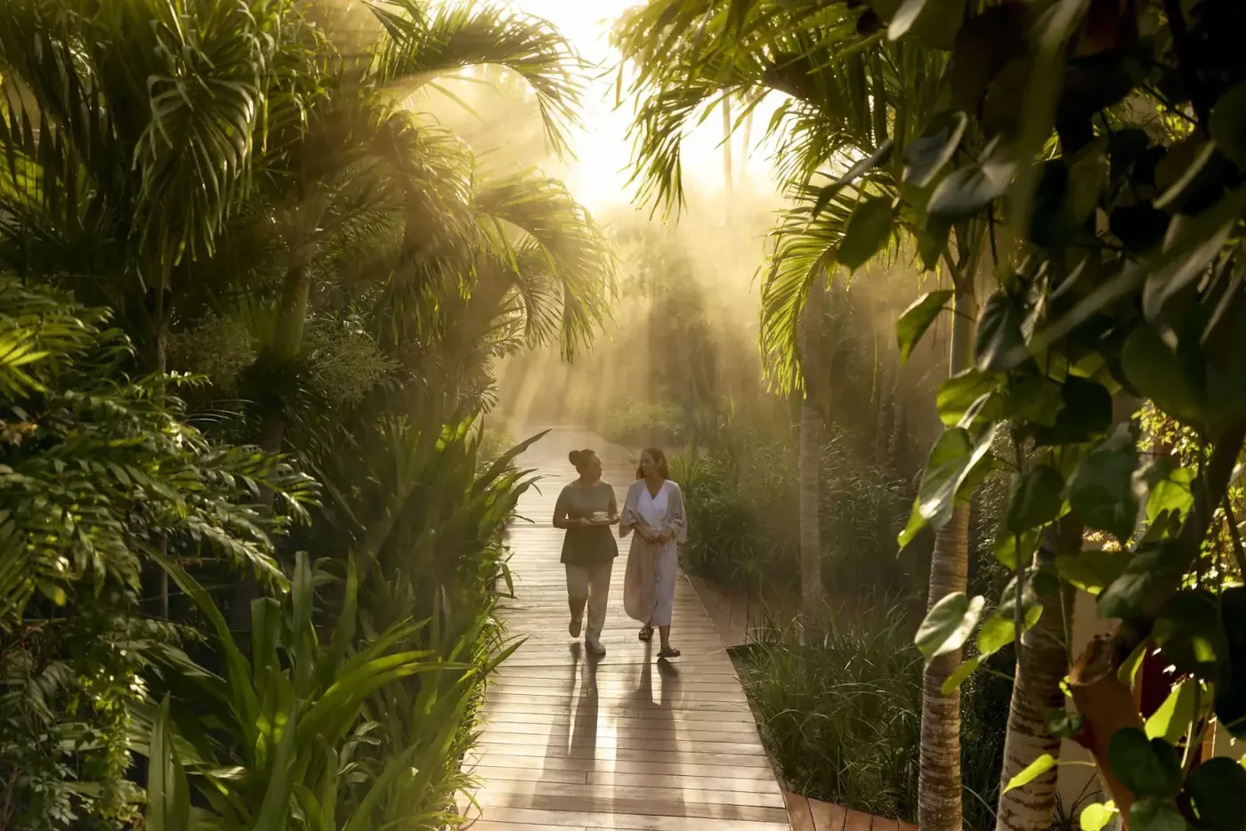 Sunlit jungle path to the spa at Conrad Tulum